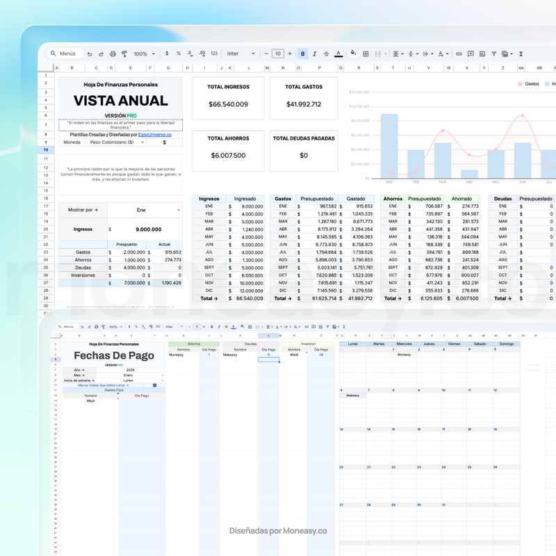 Revisión Anual y Calendario de Pagos